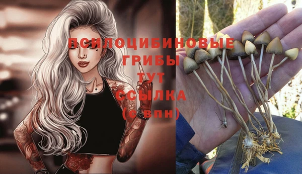 соль курить ск Дмитров