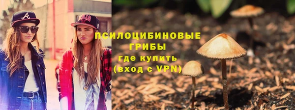 прущая мука Дмитровск