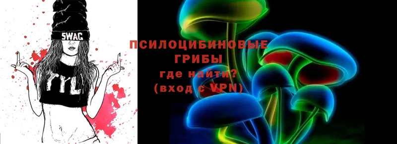 Псилоцибиновые грибы Psilocybe  Ельня 