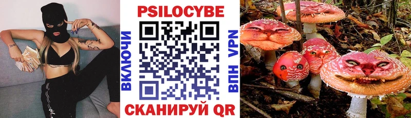 дарк нет наркотические препараты  hydra онион  Ельня  Галлюциногенные грибы мицелий 